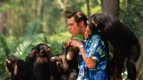 Ace Venture: Tiếng Gọi Hoang Dã Ace Ventura: When Nature Calls