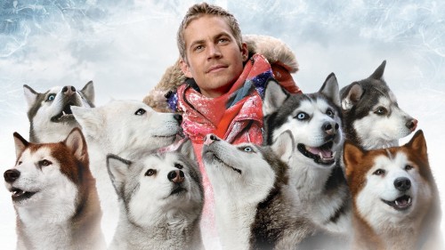 Âm Tám Độ - Eight Below