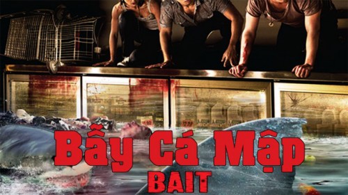 Bẫy Cá Mập Bait