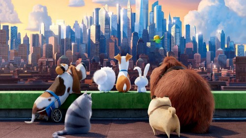 Đẳng Cấp Thú Cưng The Secret Life of Pets