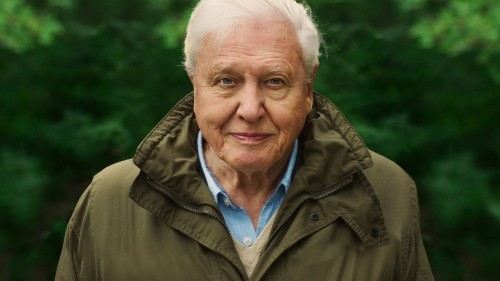 David Attenborough: Một Cuộc Đời Trên Trái Đất - David Attenborough: A Life on Our Planet