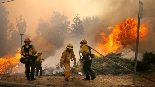 Đi về phía LỬA Toward The Fire