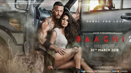 Giải Cứu Người Đẹp 2 - Baaghi 2