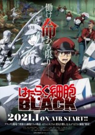 Hataraku Saibou Black - Cells at Work! CODE BLACK!