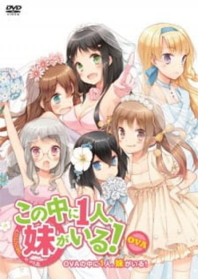 Kono Naka ni Hitori, Imouto ga Iru!: Ani, Imouto, Koibito - Kono Naka ni Hitori, Imouto ga Iru! OVA, Kono Naka ni Hitori, Imouto ga Iru! Episode 13, NakaImo, One of Them is My Younger Sister! OVA, Who is Imouto? OVA, NAKAIMO - My Little Sister Is Among Them! OVA