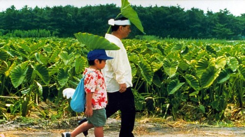 Mùa Hè Của Kikujiro - Kikujiro