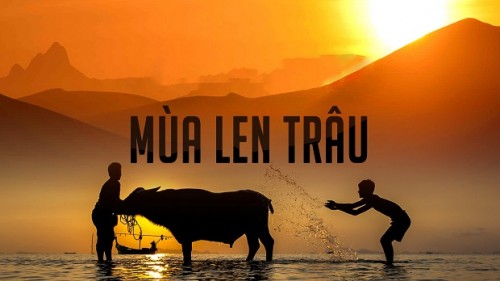 Mùa Len Trâu Mua Len Trau