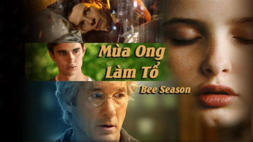 Mùa Ong Làm Tổ Bee Season