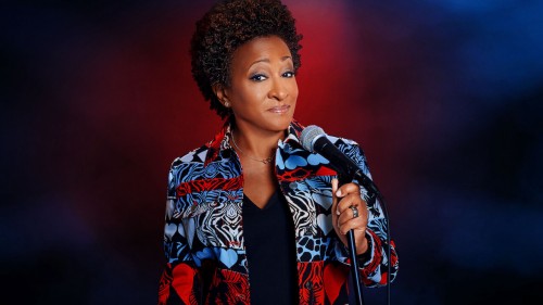 Wanda Sykes: Tôi là người mua vui Wanda Sykes: I'm an Entertainer